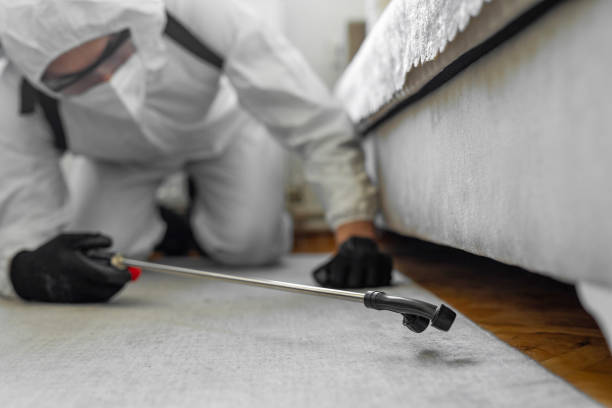 Professional Pest Control technician working in Mohave County County, AZ